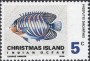 动物:大洋洲:圣诞岛:cx196805.jpg