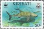动物:大洋洲:基里巴斯:ki199103.jpg