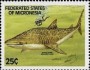 动物:大洋洲:密克罗尼西亚:fm198901.jpg