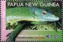 动物:大洋洲:巴布亚新几内亚:pg201101.jpg