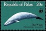 动物:大洋洲:帕劳:pw198302.jpg