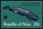 动物:大洋洲:帕劳:pw198304.jpg