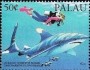动物:大洋洲:帕劳:pw199301.jpg