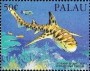 动物:大洋洲:帕劳:pw199303.jpg