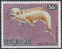 动物:大洋洲:库克群岛:ck198406.jpg
