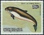 动物:大洋洲:库克群岛:ck198411.jpg
