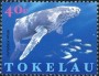 动物:大洋洲:托克劳:tk199701.jpg