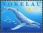 动物:大洋洲:托克劳:tk199703.jpg