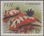 动物:大洋洲:斐济:fj199301.jpg