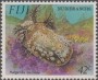 动物:大洋洲:斐济:fj199302.jpg