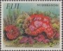 动物:大洋洲:斐济:fj199306.jpg