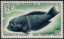 动物:大洋洲:新喀里多尼亚:nc196503.jpg