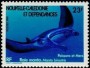 动物:大洋洲:新喀里多尼亚:nc198101.jpg
