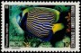 动物:大洋洲:新喀里多尼亚:nc198601.jpg