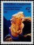 动物:大洋洲:新喀里多尼亚:nc199002.jpg