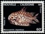动物:大洋洲:新喀里多尼亚:nc199101.jpg