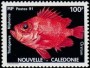 动物:大洋洲:新喀里多尼亚:nc199102.jpg