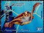 动物:大洋洲:新喀里多尼亚:nc200201.jpg