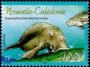 动物:大洋洲:新喀里多尼亚:nc200306.jpg