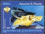 动物:大洋洲:新喀里多尼亚:nc200401.jpg