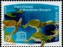 动物:大洋洲:新喀里多尼亚:nc200804.jpg