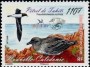 动物:大洋洲:新喀里多尼亚:nc200810.jpg