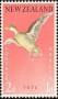 动物:大洋洲:新西兰:nz195901.jpg