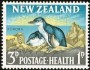 动物:大洋洲:新西兰:nz196402.jpg