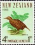 动物:大洋洲:新西兰:nz196602.jpg