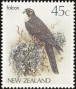 动物:大洋洲:新西兰:nz198604.jpg