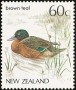 动物:大洋洲:新西兰:nz198702.jpg