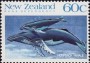 动物:大洋洲:新西兰:nz198801.jpg