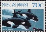 动物:大洋洲:新西兰:nz198802.jpg