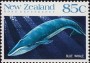 动物:大洋洲:新西兰:nz198804.jpg