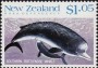 动物:大洋洲:新西兰:nz198805.jpg