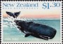 动物:大洋洲:新西兰:nz198806.jpg