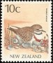 动物:大洋洲:新西兰:nz198809.jpg