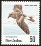 动物:大洋洲:新西兰:nz199002.jpg
