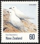 动物:大洋洲:新西兰:nz199003.jpg