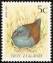 动物:大洋洲:新西兰:nz199107.jpg