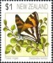 动物:大洋洲:新西兰:nz199109.jpg