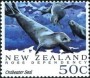 动物:大洋洲:新西兰:nz199202.jpg