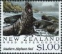 动物:大洋洲:新西兰:nz199205.jpg