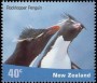 动物:大洋洲:新西兰:nz200101.jpg