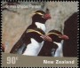 动物:大洋洲:新西兰:nz200103.jpg
