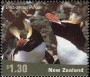 动物:大洋洲:新西兰:nz200104.jpg