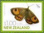 动物:大洋洲:新西兰:nz201002.jpg