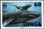 动物:大洋洲:汤加:to199602.jpg