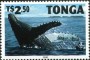动物:大洋洲:汤加:to199604.jpg