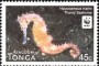 动物:大洋洲:汤加:to201201.jpg